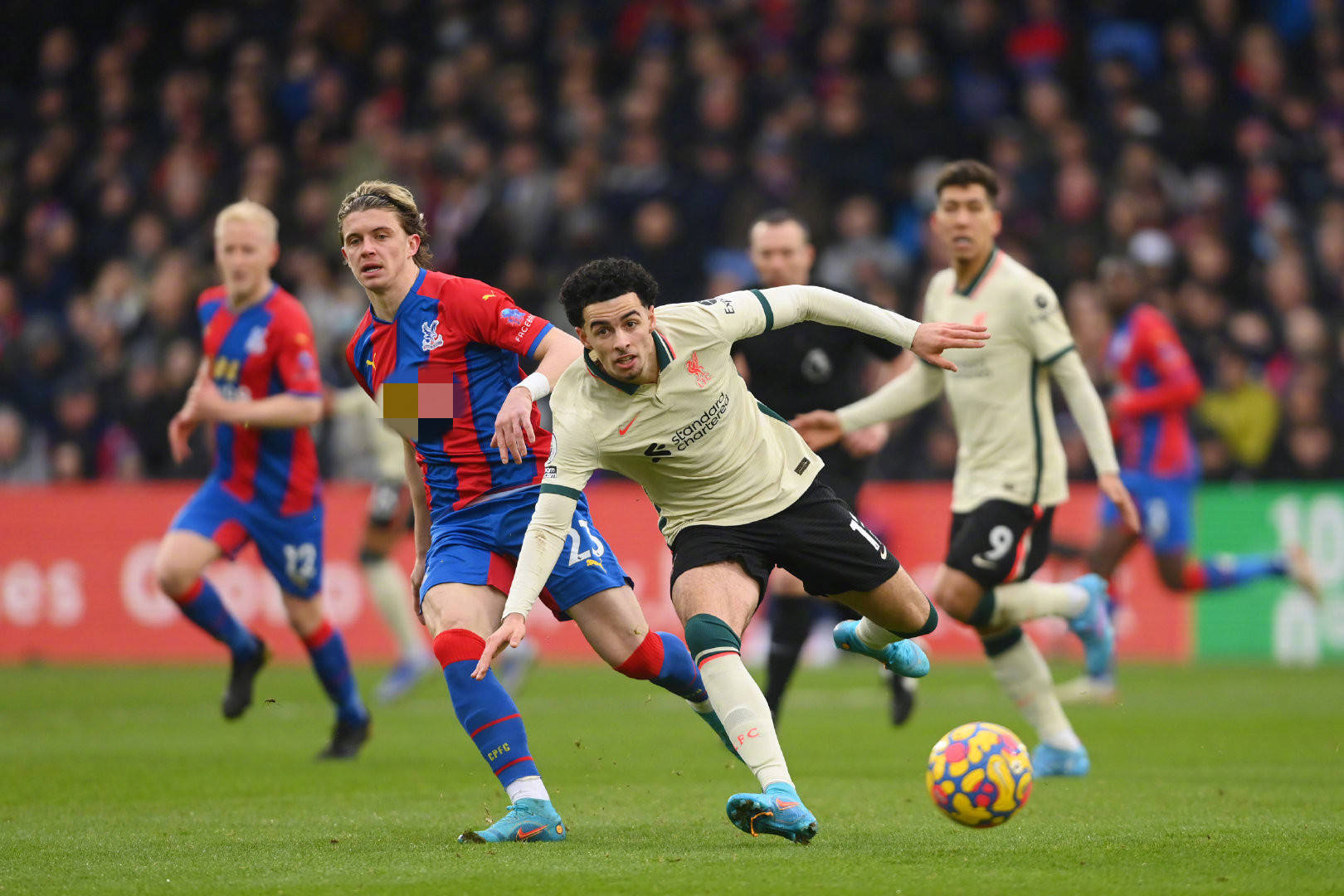 他们能重振 他们能重振